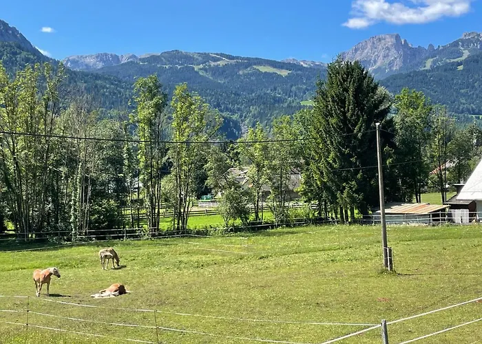 Loft Kammleitn Apartment