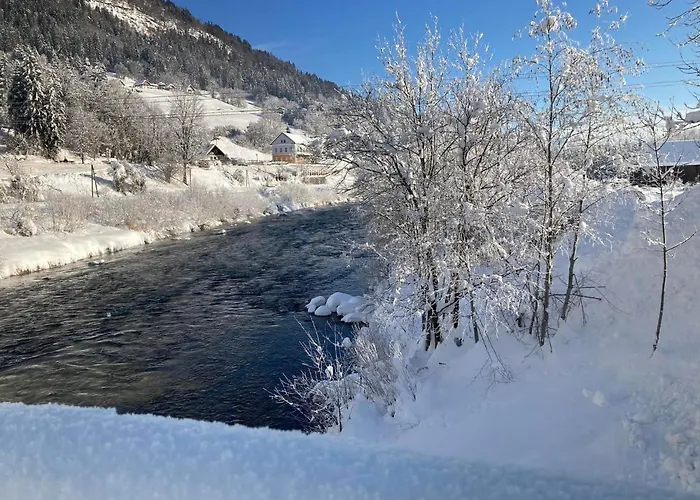 Loft Kammleitn Apartment *